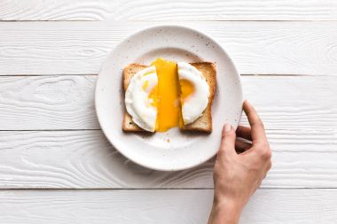 fried egg on toast  clipart