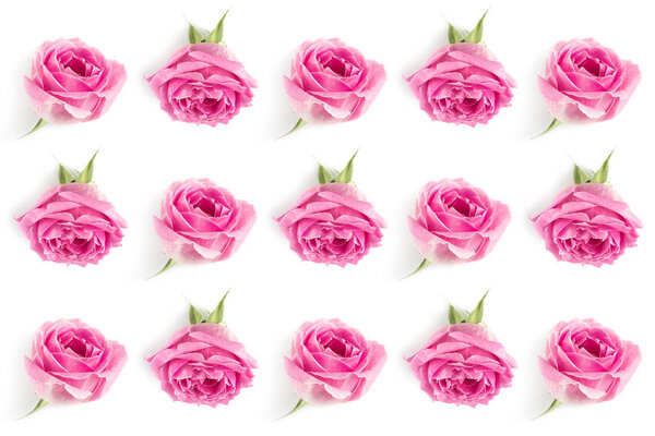 pink roses background