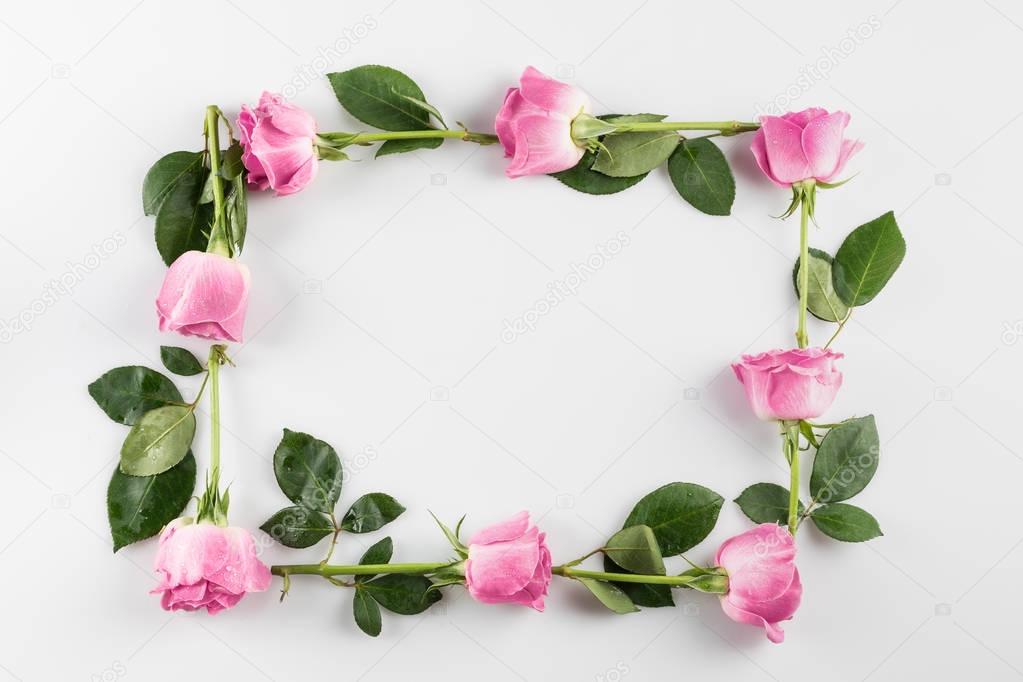 frame with pink roses