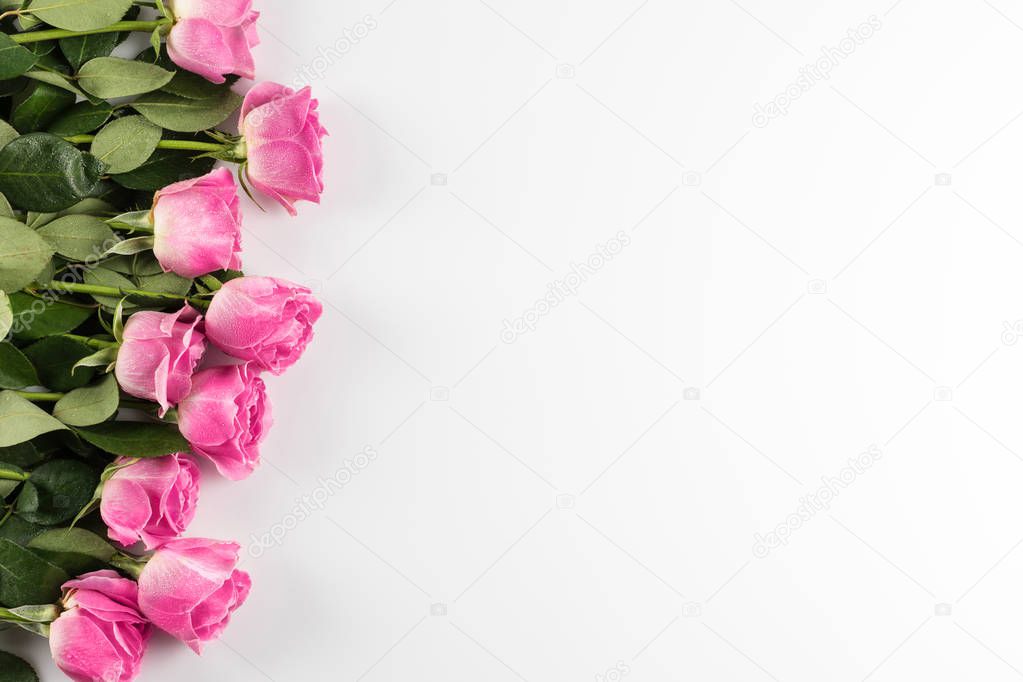 pink roses with copy space