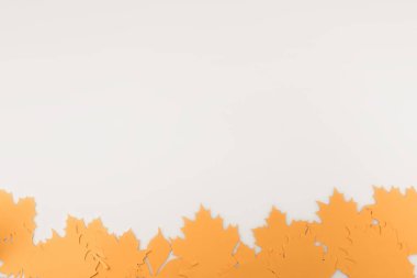 border frame of autumnal leaves clipart