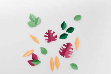 composition of various colorful leaves clipart