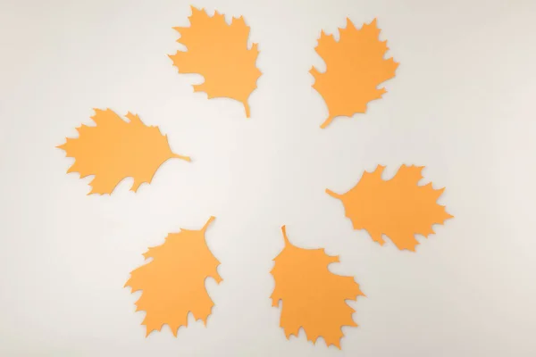 Round frame of oak leaves — Stock Photo, Image