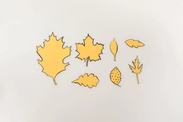 Various drawn autumnal leaves — Stock Photo, Image