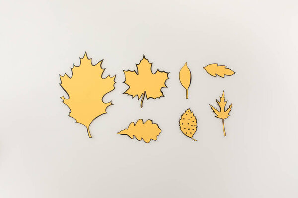 various drawn autumnal leaves