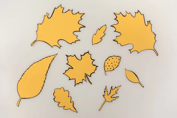 Various drawn autumnal leaves — Free Stock Photo