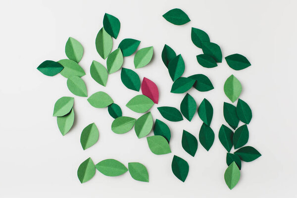 куча зеленых листьев бумаги
