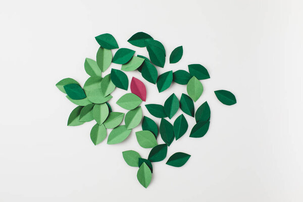 куча зеленых листьев бумаги
