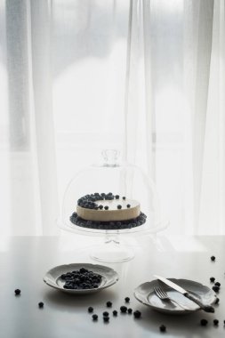 Cheesecake yaban mersini cam stand ile