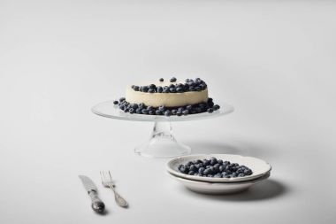 Cheesecake yaban mersini cam stand ile