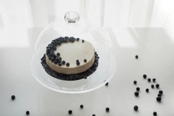 Cheesecake med blåbär på glas monter — Stockfoto