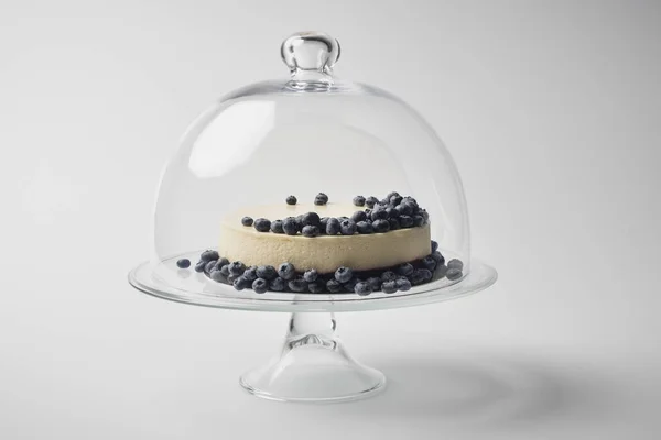 ガラス スタンドにブルーベリーとチーズケーキ — ストック写真