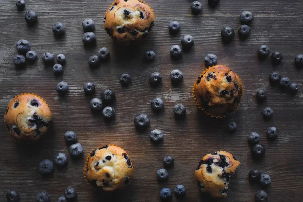 Delicious cupcakes with blueberries — Stock Photo, Image