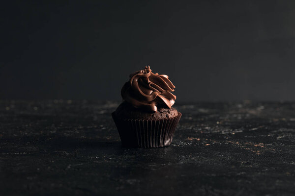 sweet chocolate cupcake