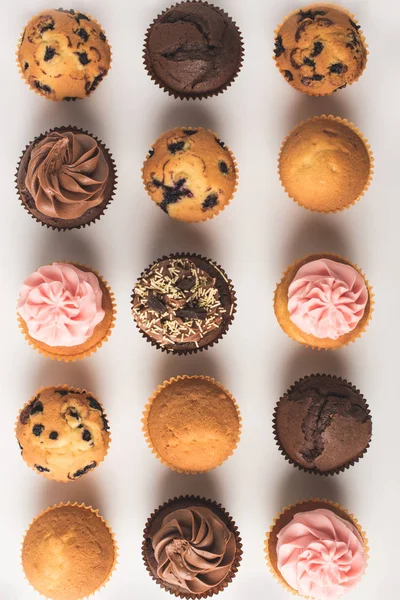 Various sweet cupcakes — Stock Photo, Image