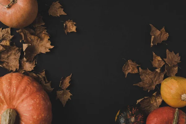 pumpkins and dried leaves