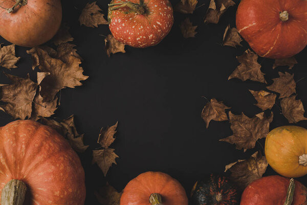 pumpkins and dried leaves