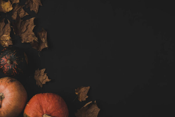 pumpkins and dried leaves