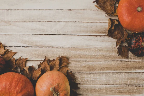 Pumpkins and dried leaves — Stock Photo, Image