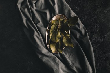 elma ağacı yaprakları