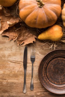 Tablo ve sonbaharda hasat servis 