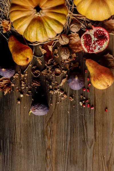 Harvest — Stock Photo, Image