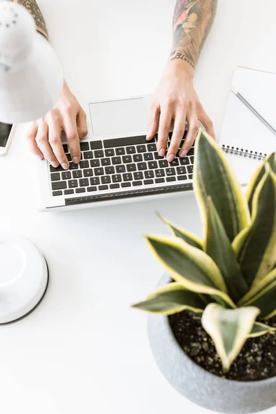 Male hands typing on laptop — Stock Photo, Image