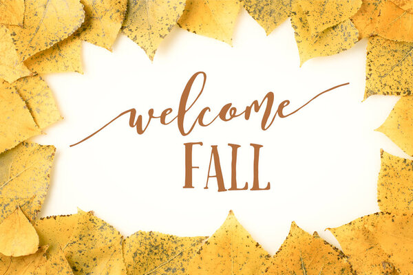 frame of autumnal leaves