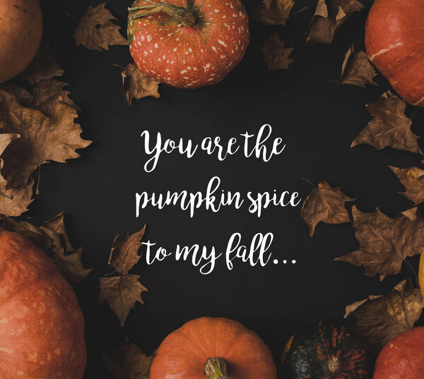 pumpkins and dried leaves