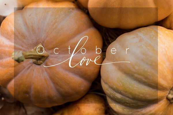 Спелые тыквы на столе
