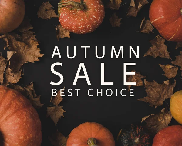 Autumn sale concept — Stock Photo, Image