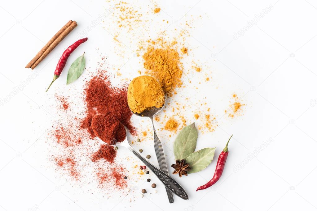 spoons with paprika and curry