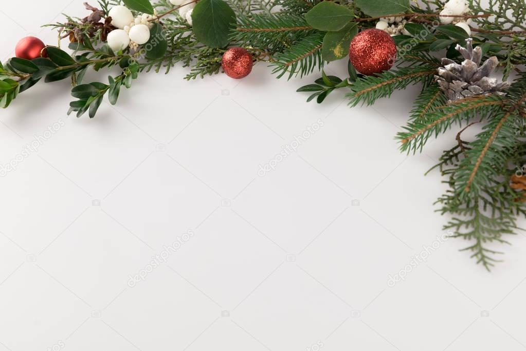 christmas fir branch