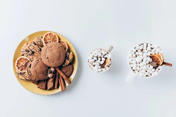 Pliki cookie i szklanki gorącego kakao — Zdjęcie stockowe