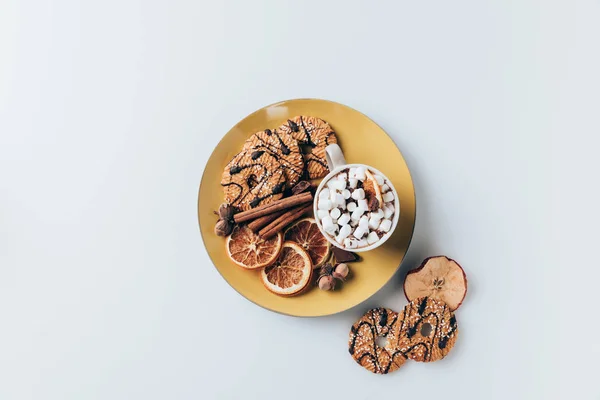 Cookies and cacao with marshmallows — Stock Photo, Image