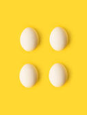 négy csirke tojás