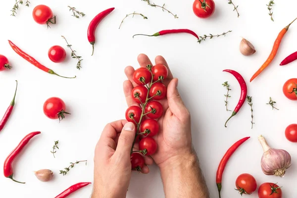 Nő gazdaság cherry paradicsom — Stock Fotó