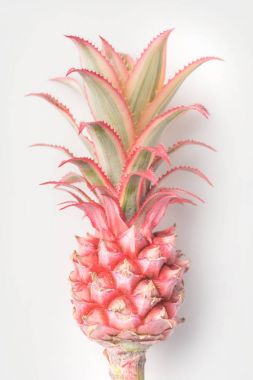 Ananas.