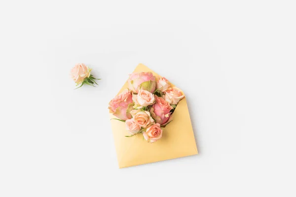 Růžové růže v obálce — Stock fotografie