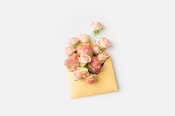 Pink roses in envelope — Stock Photo, Image