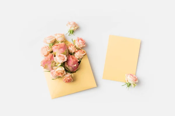 Ροζ τριαντάφυλλα σε φάκελο — Φωτογραφία Αρχείου