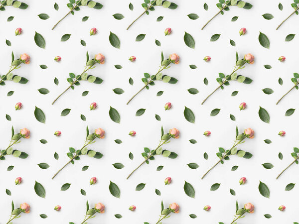 pink roses with petals