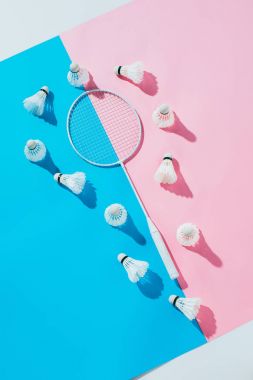 shuttlecocks badminton raket etrafında üstten görünüm, mavi ve pembe kağıtlara