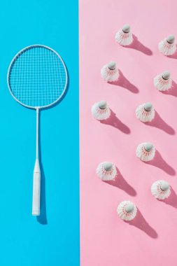 badminton raket üstten görünüm mavi ve pembe üzerinde shuttlecocks 