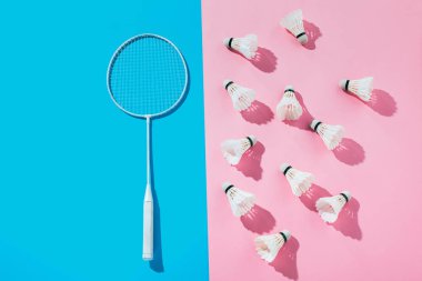 badminton raket üstten görünüm mavi ve pembe üzerinde shuttlecocks 