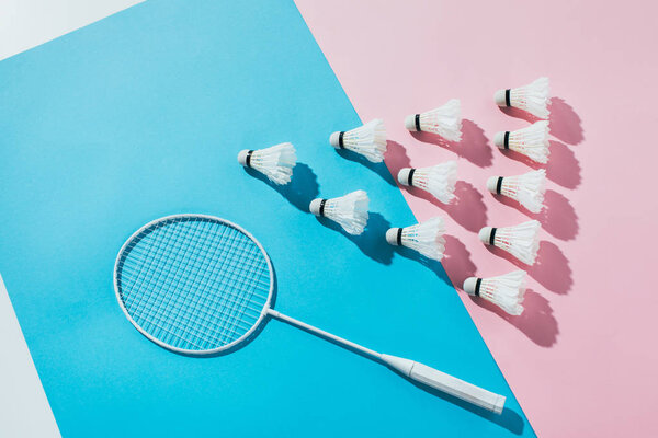 top view of composition with badminton racket and shuttlecocks on blue and pink papers