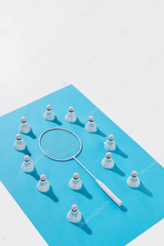 high angle view of badminton racket and shuttlecocks on blue paper, isolated on white