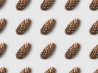 pattern of pine cones on white surface clipart
