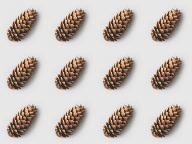pattern of beautiful pine cones on white surface clipart