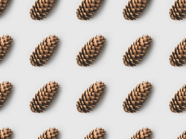 Pattern Pine Cones White Surface — Stock Photo, Image